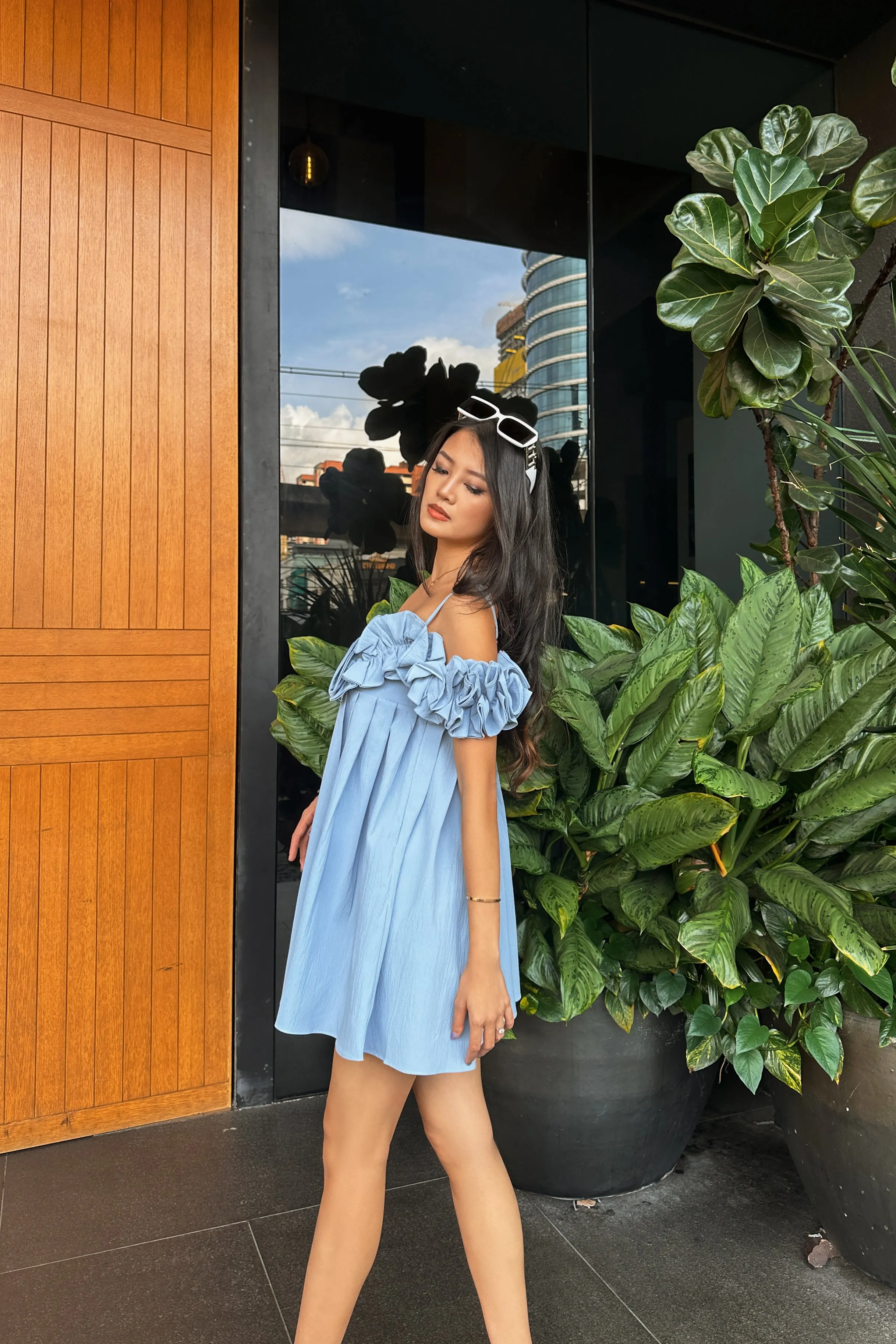 Brienne Roses Shift Dress in Sky Blue