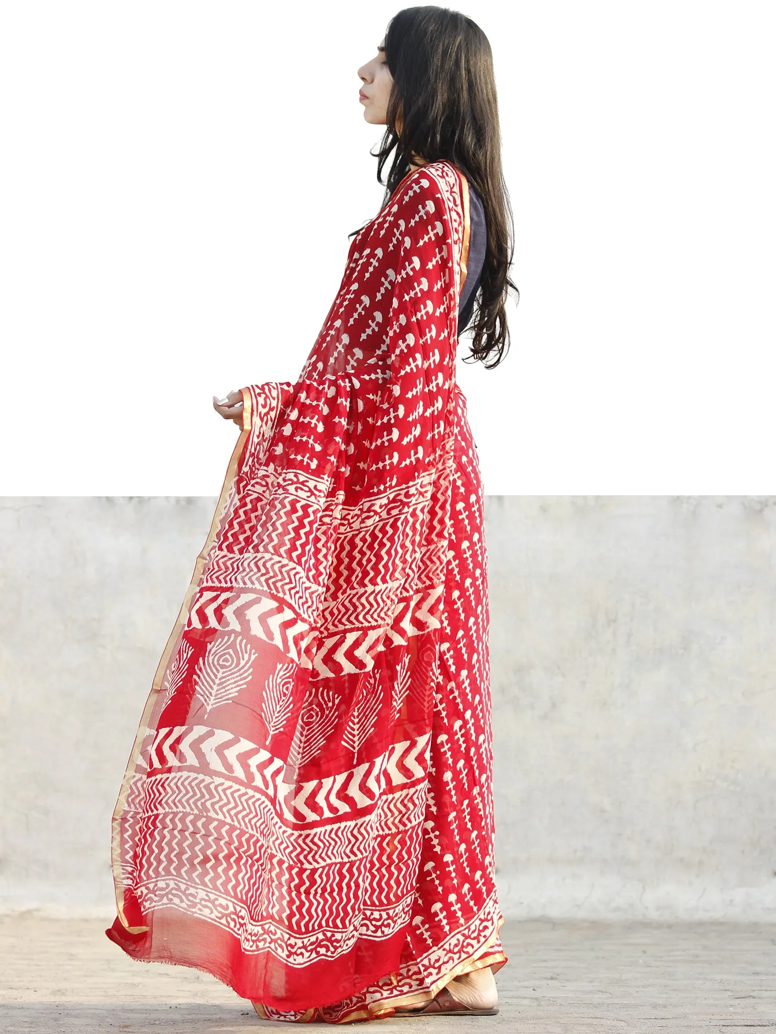 Red and White  Hand Block Printed Chiffon Saree with Zari border- S031702713