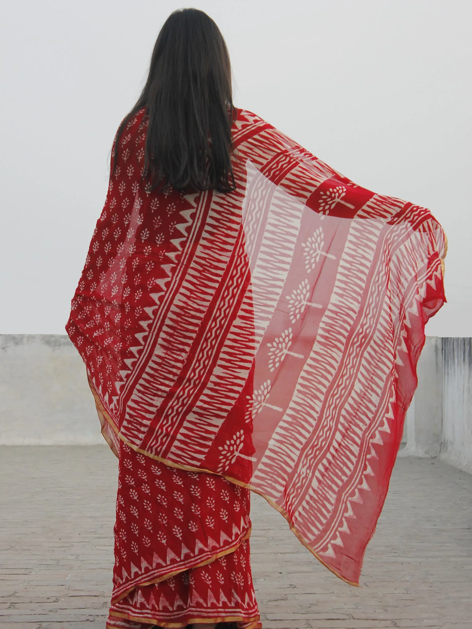 Red White Hand Block Printed Chiffon Saree With Zari Border- S031702591