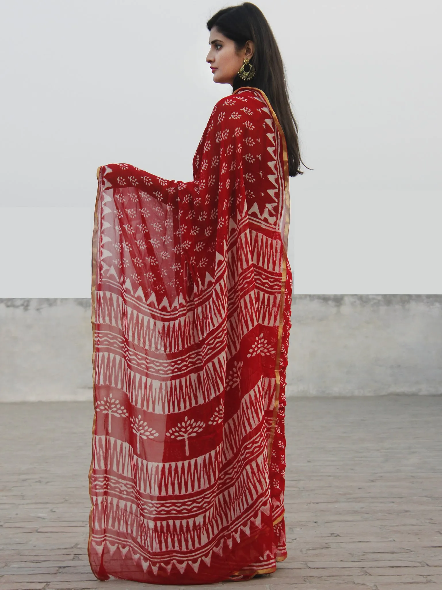 Red White Hand Block Printed Chiffon Saree With Zari Border- S031702591